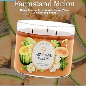 Goose Creek Candle Farmstand Melon Candle - Thumbnail 4